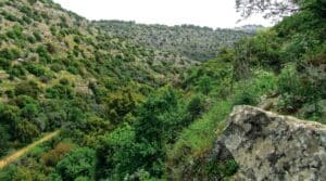 Read more about the article Shropshire Hills: Hilfe nötig für den Erhalt der Landschaft