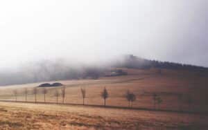 Read more about the article Über 1.700 Acres geschützte ökologisch wertvolle Flächen